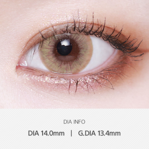 LensVery 1Day – Wonder Eye Hazel奇幻榛子 日拋 10片裝